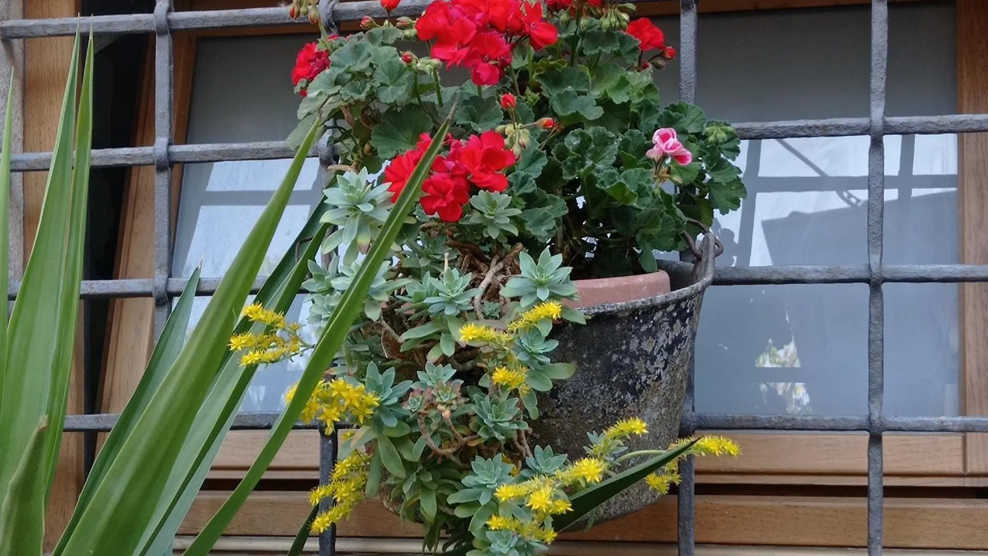 Casa Vacanza Gaia Costa di Mezzate Italia
